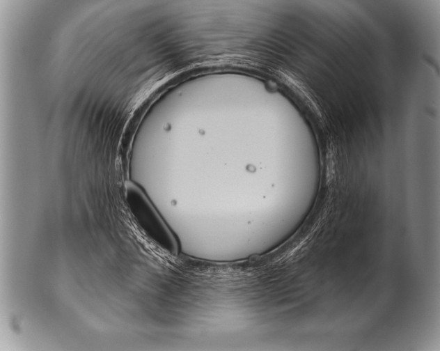 X0000100410876200806201757