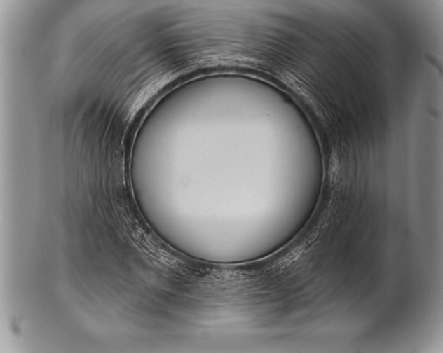 X0000100410877200806201757