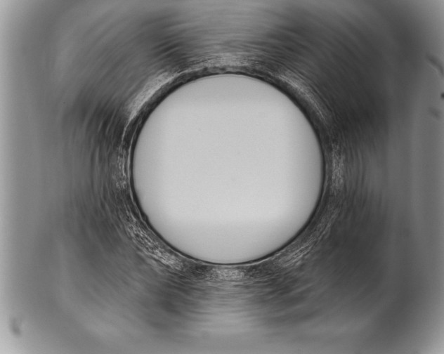 X0000100410878200806201757