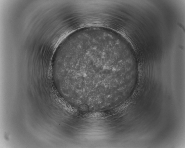 X0000100410879200806201757