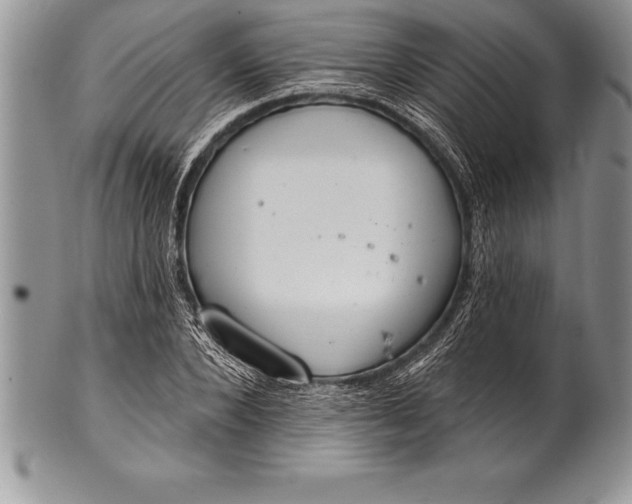 X0000100410880200806201756