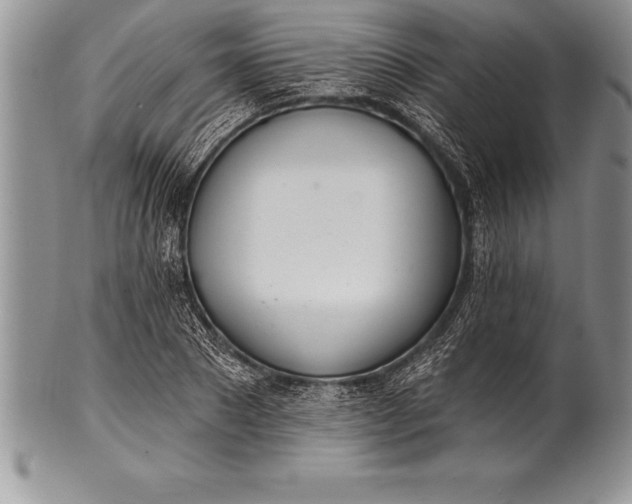 X0000100410881200806201756