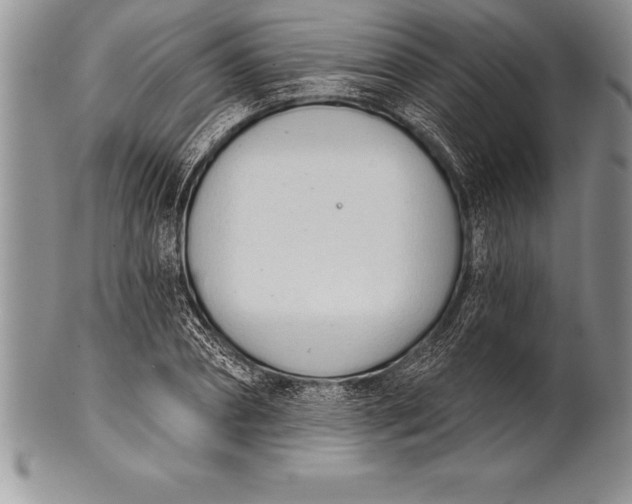 X0000100410882200806201756