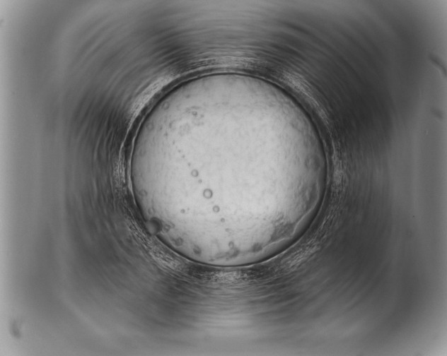 X0000100410883200806201756