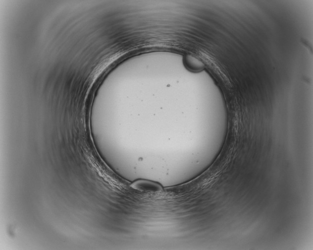 X0000100410884200806201756