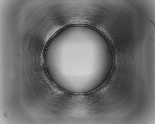 X0000100410885200806201756