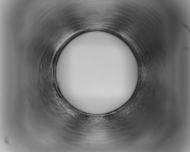 X0000100410886200806201756