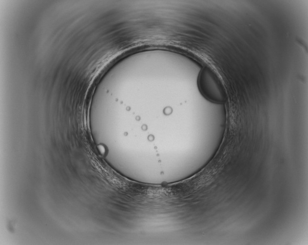 X0000100410887200806201756