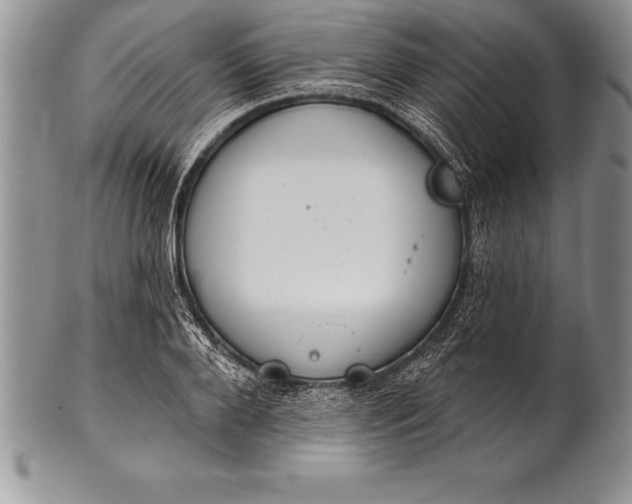 X0000100410888200806201756