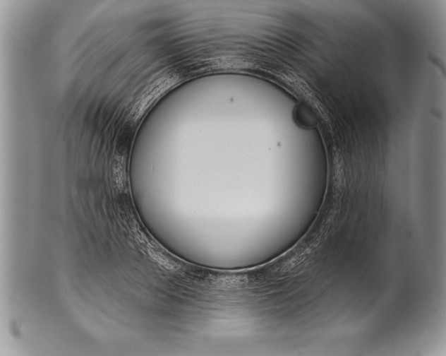 X0000100410889200806201756