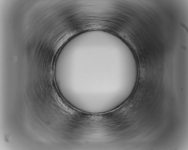 X0000100410890200806201756