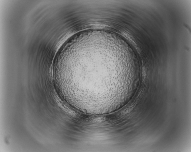 X0000100410891200806201756