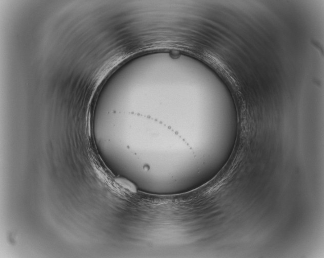 X0000100410892200806201756