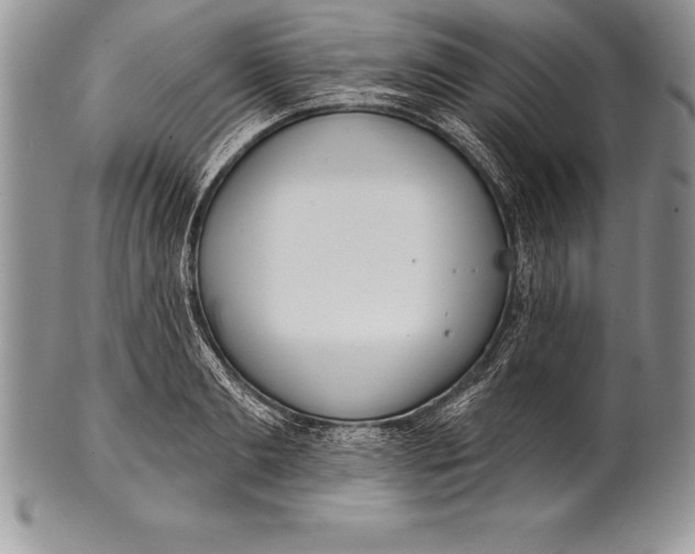 X0000100410893200806201756