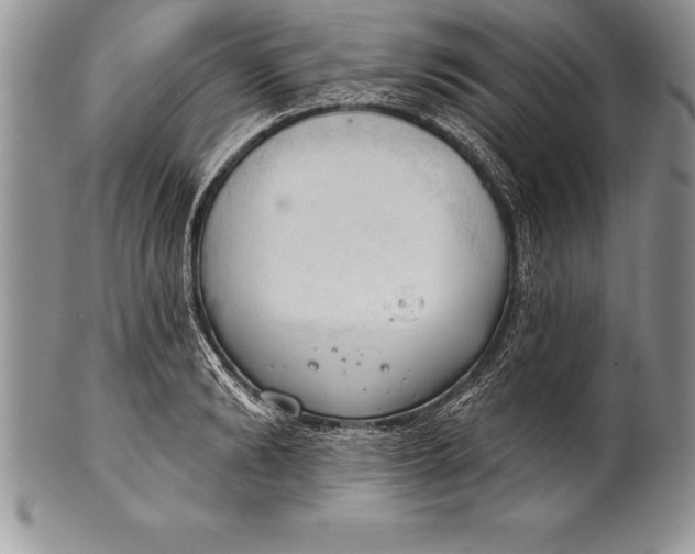 X0000100410894200806201756