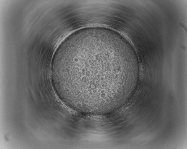 X0000100410895200806201756