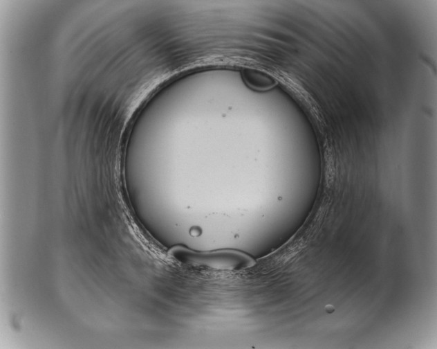 X0000100410896200806201756