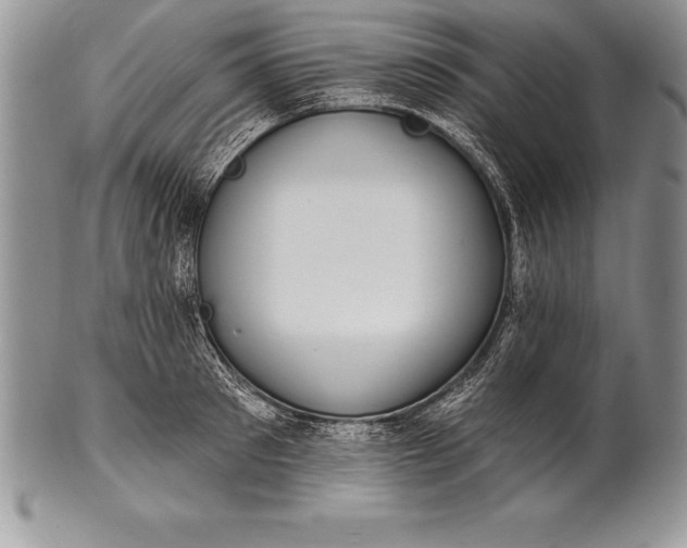 X0000100410897200806201756