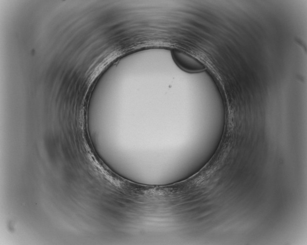 X0000100410898200806201756