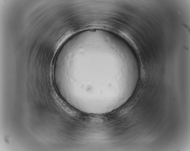 X0000100410899200806201756