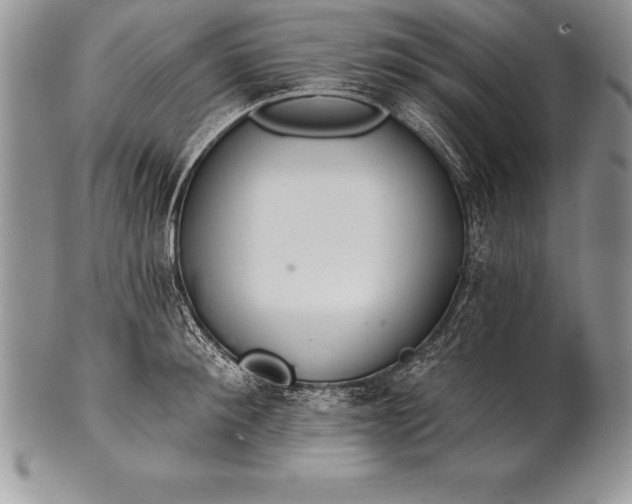 X0000100410900200806201756