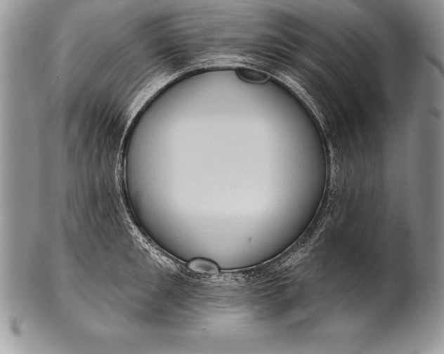 X0000100410901200806201756