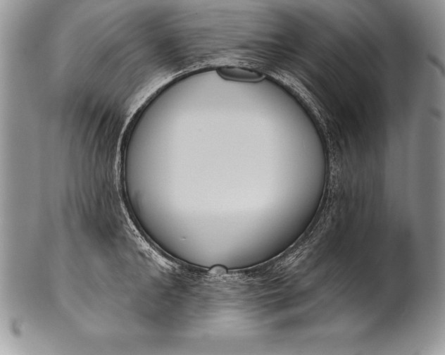 X0000100410902200806201756