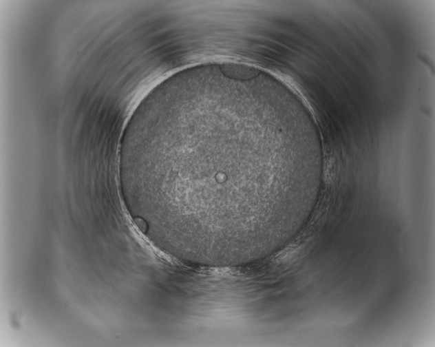 X0000100410903200806201756