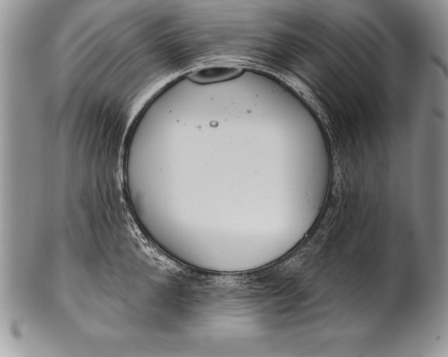 X0000100410904200806201756