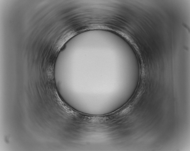 X0000100410905200806201756