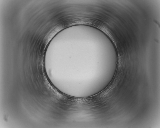 X0000100410906200806201756