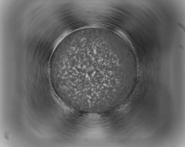 X0000100410907200806201756