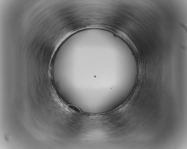 X0000100410908200806201756