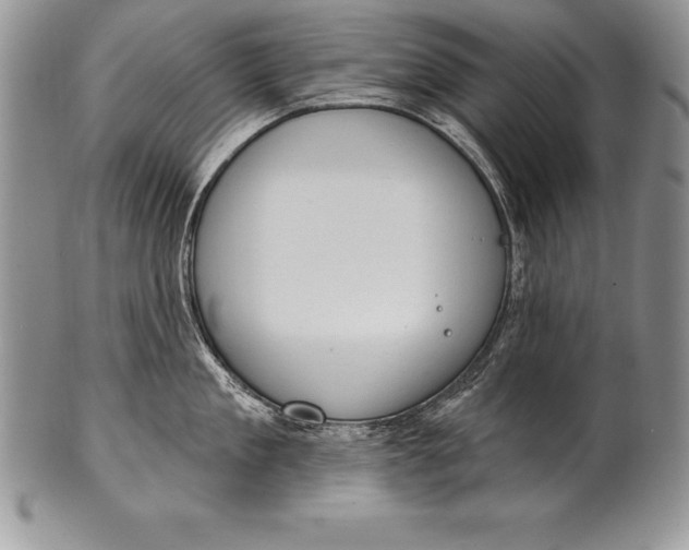 X0000100410909200806201756