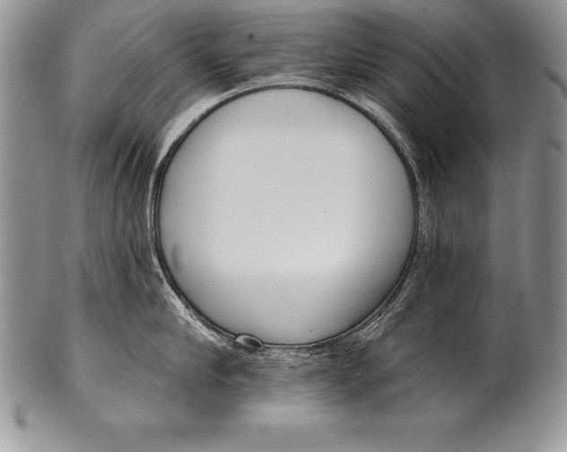 X0000100410910200806201756