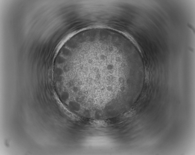 X0000100410911200806201756