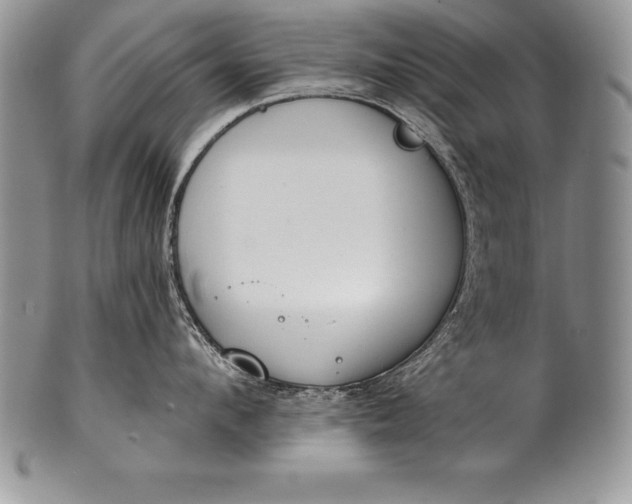 X0000100410912200806201756