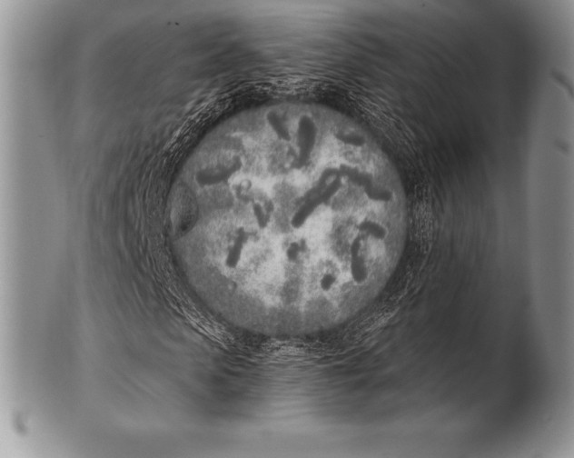 X0000100410913200806201755