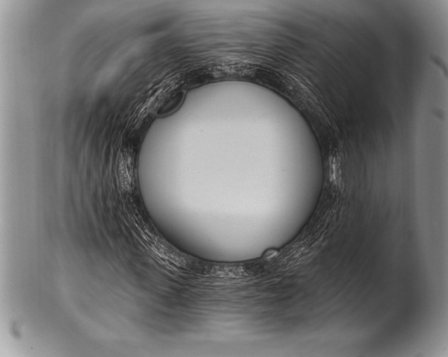 X0000100410915200806201755