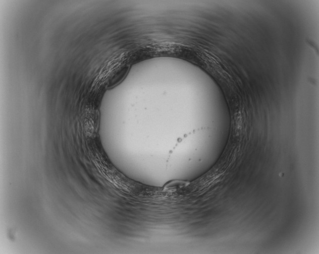 X0000100410916200806201755