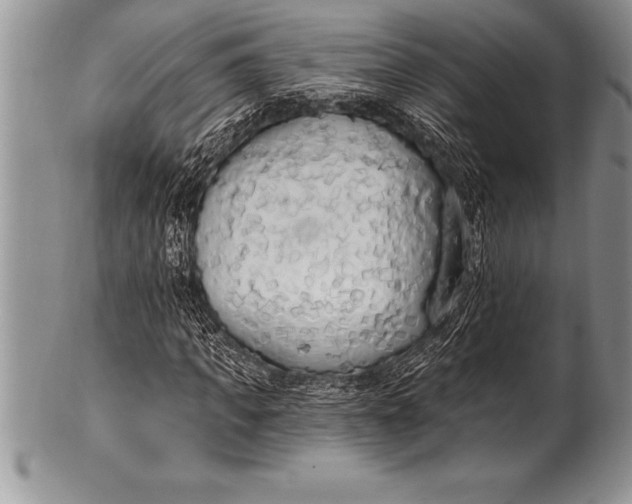 X0000100410917200806201755