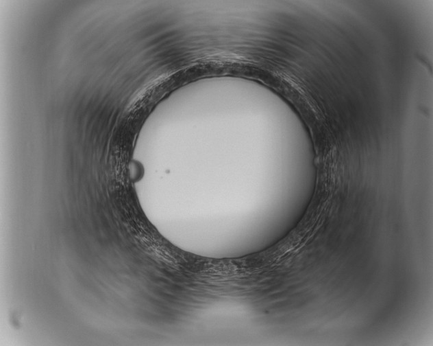 X0000100410919200806201755