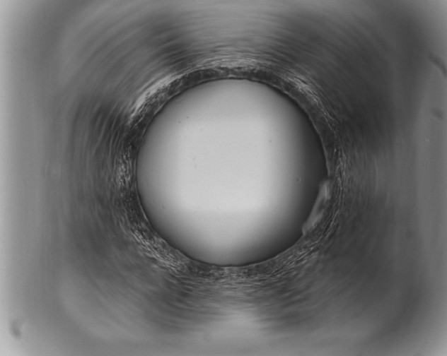 X0000100410920200806201755