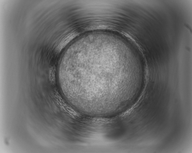 X0000100410921200806201755