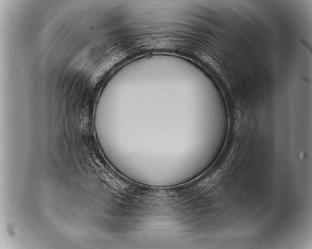 X0000100410922200806201756