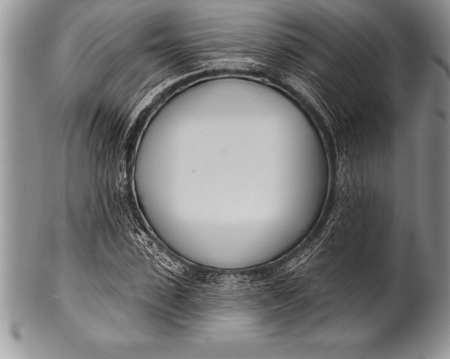 X0000100410923200806201756