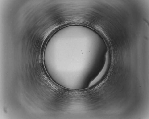 X0000100410924200806201756