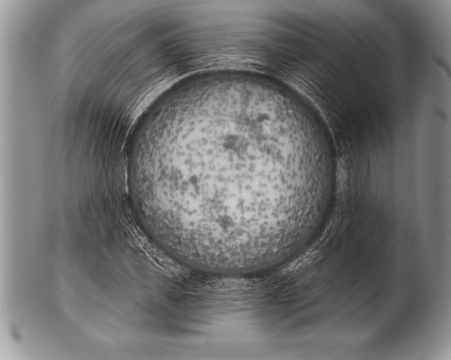 X0000100410925200806201756