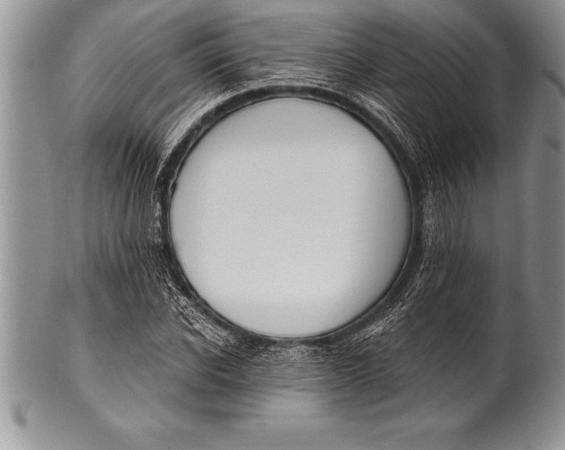 X0000100410926200806201756