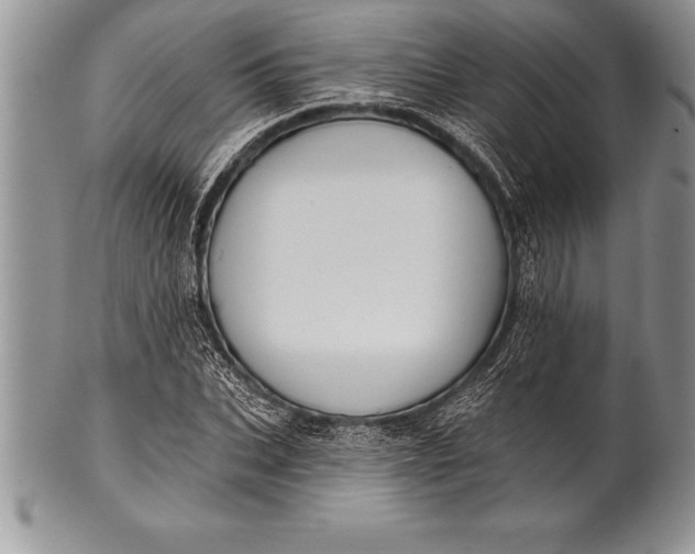 X0000100410927200806201756